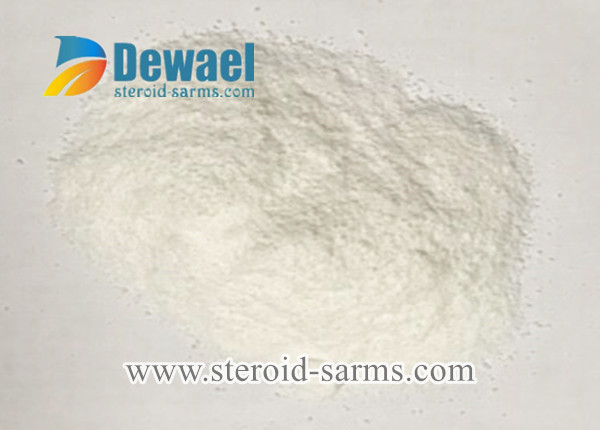 DHEA Dehydroepiandrosterone Powder